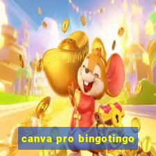 canva pro bingotingo